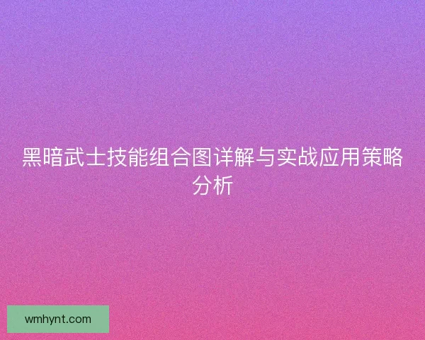 黑暗武士技能组合图详解与实战应用策略分析