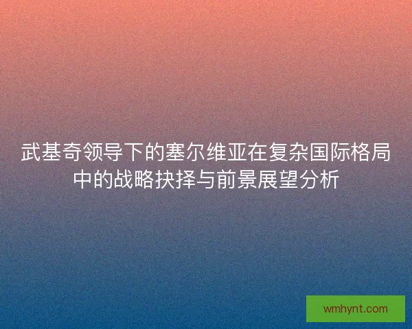武基奇领导下的塞尔维亚在复杂国际格局中的战略抉择与前景展望分析